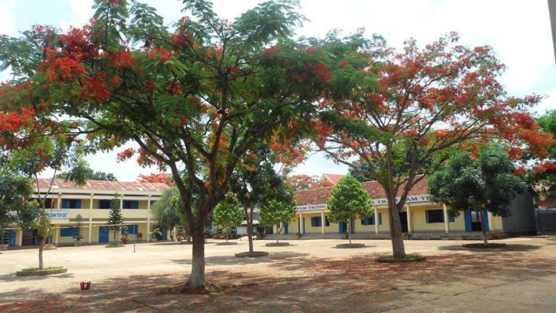 Trường THCS Nguyễn Tất Thành - Cư M'gar