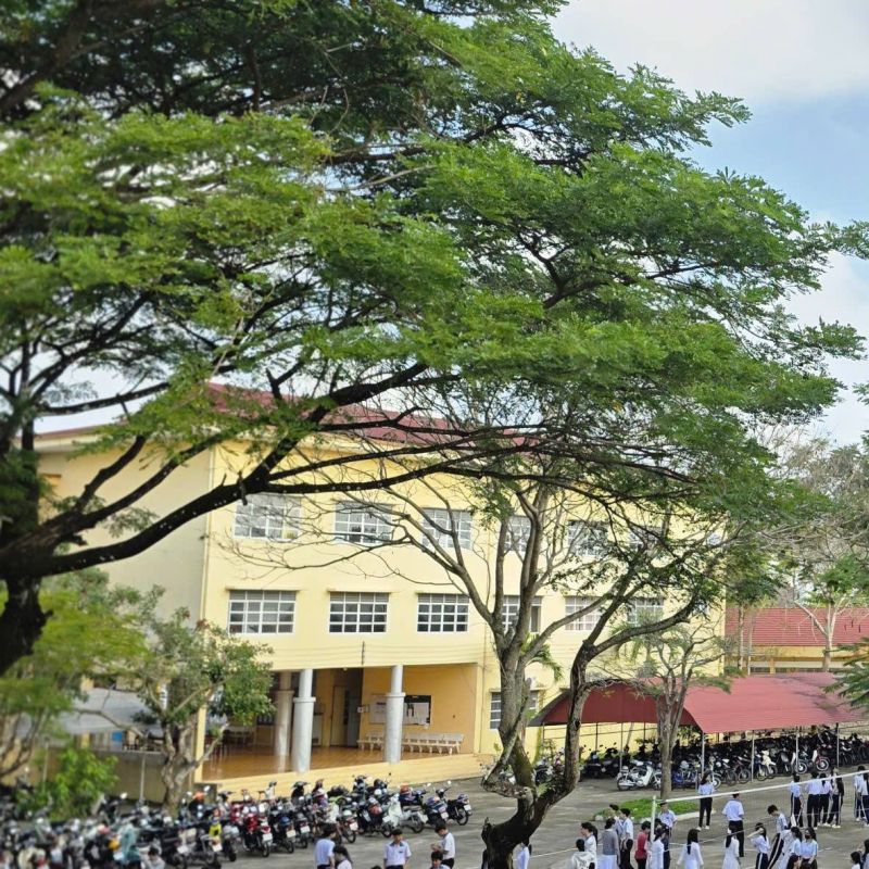 Trường THPT Chuyên Vị Thanh