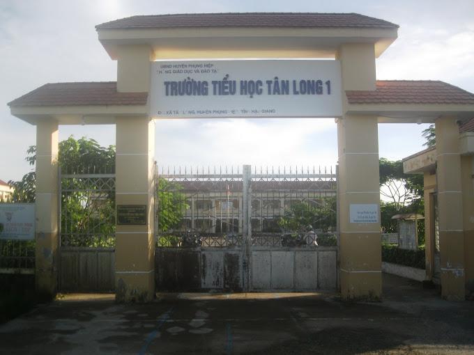 Trường Tiểu Học Tân Long 1