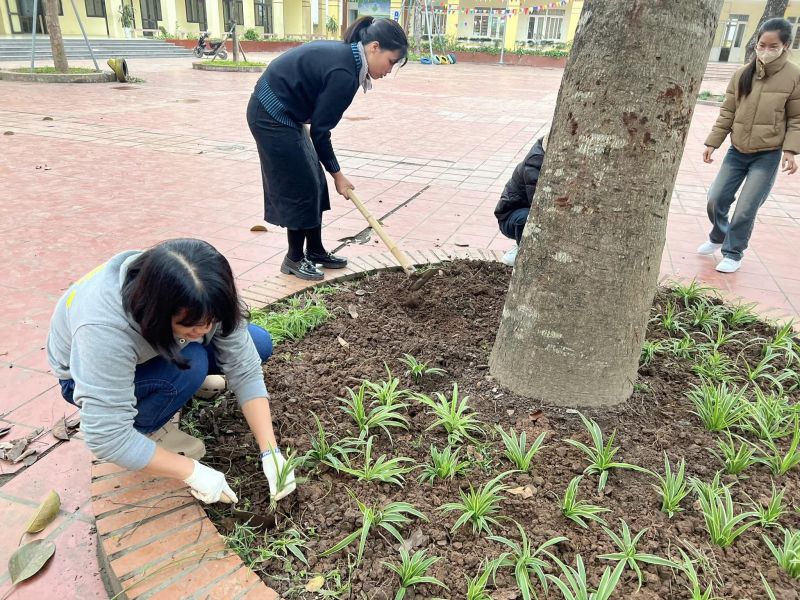 Trường Tiểu học Vạn Thái