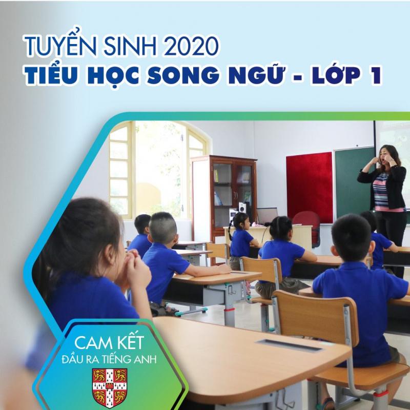 Trường Tiểu Học Viet Elite School - VES