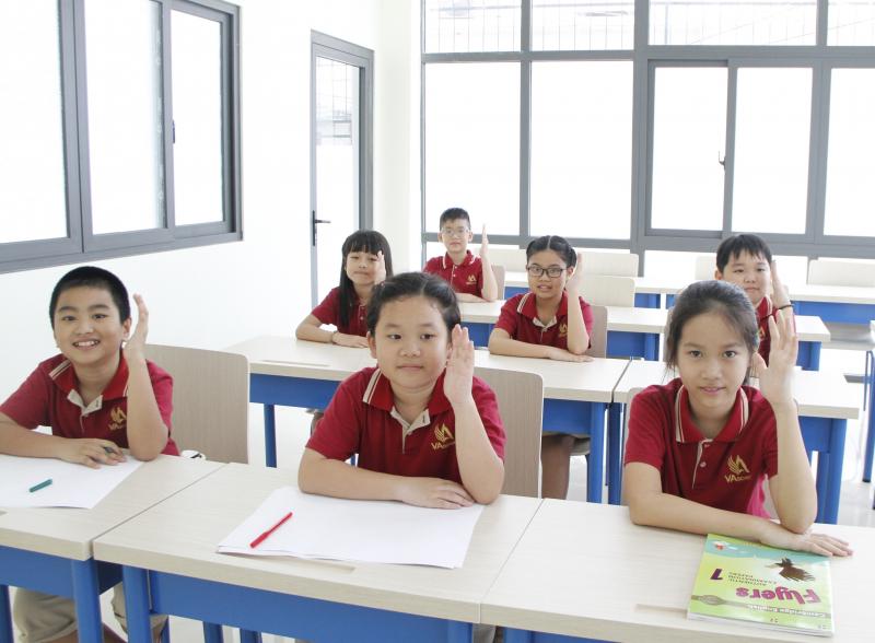 Trường Việt Mỹ (VA schools)