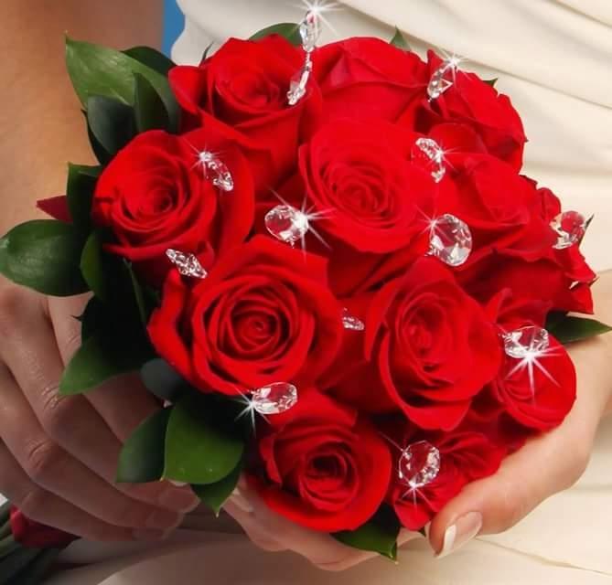 Quà 8/3 bó hoa đẹp là món quà ý nghĩa và đầy tình cảm dành tặng những người phụ nữ quan trọng trong cuộc đời. Hãy cùng chiêm ngưỡng những bó hoa đầy sắc màu và hương thơm dịu ngọt này để có thể chọn được món quà đặc biệt nhất cho những người phụ nữ của mình.