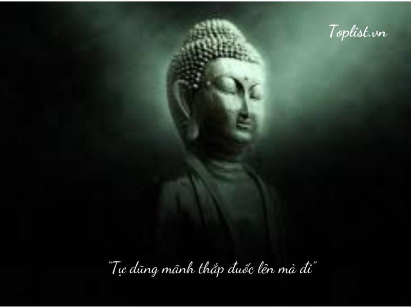 Đức Phật dạy﻿: “Tự dũng mãnh thắp đuốc lên mà đi”