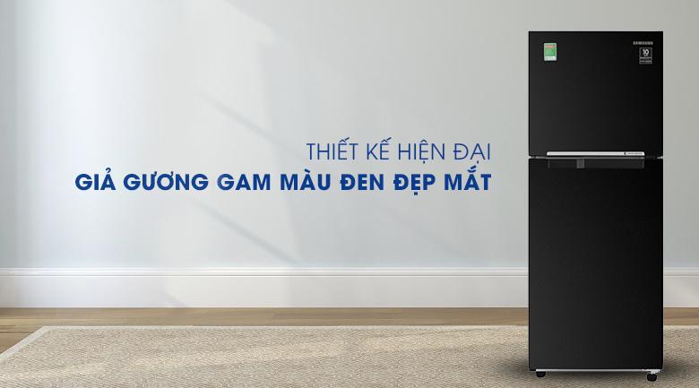 Tủ lạnh Samsung RT20HAR8DBU/SV