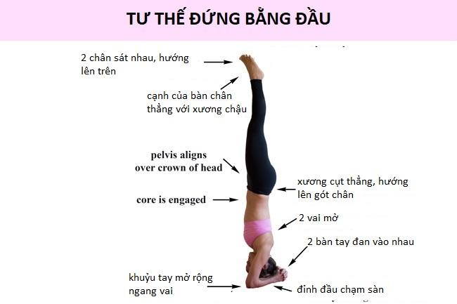 Tư thế đứng bằng đầu