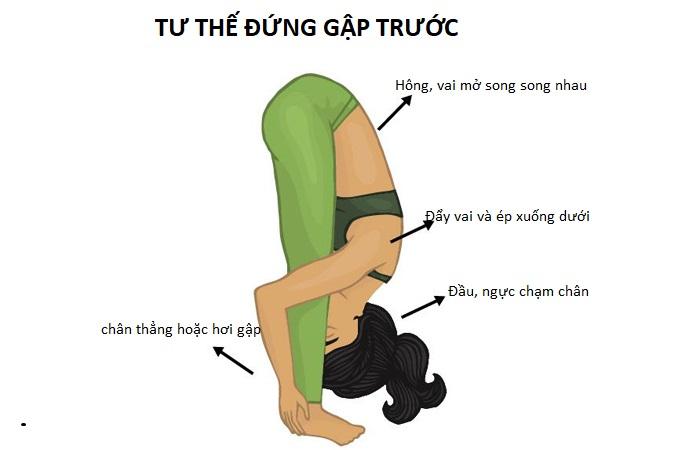 Tư thế đứng gập người về phía trước