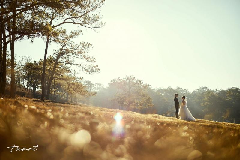 TuArt Wedding