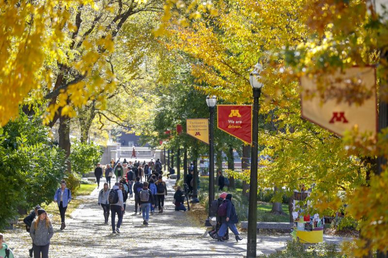 University of Minnesota-Twin Cities