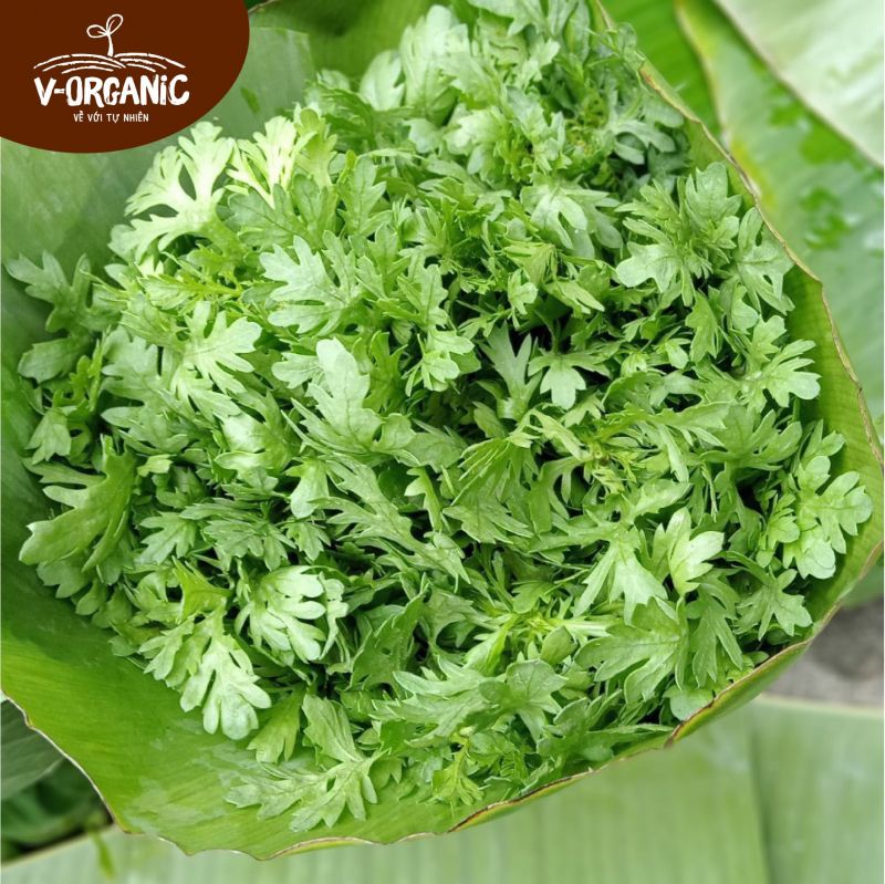 V - Organic Về Với Tự Nhiên