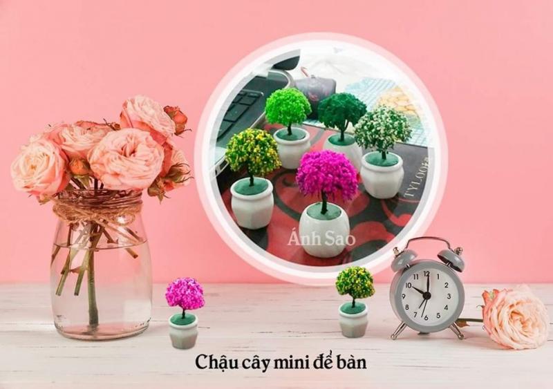 Chậu cây mini để bàn tại văn phòng phẩm Ánh Sao