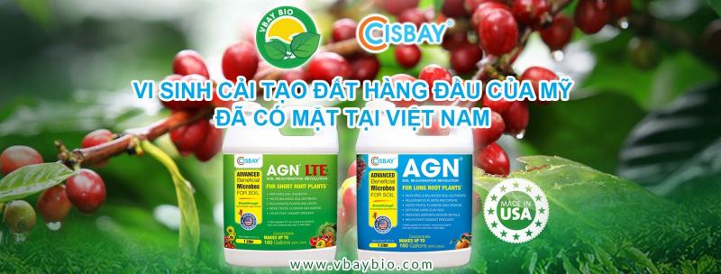 Công ty Cổ phần thương mại xuất nhập khẩu Vbay Bio