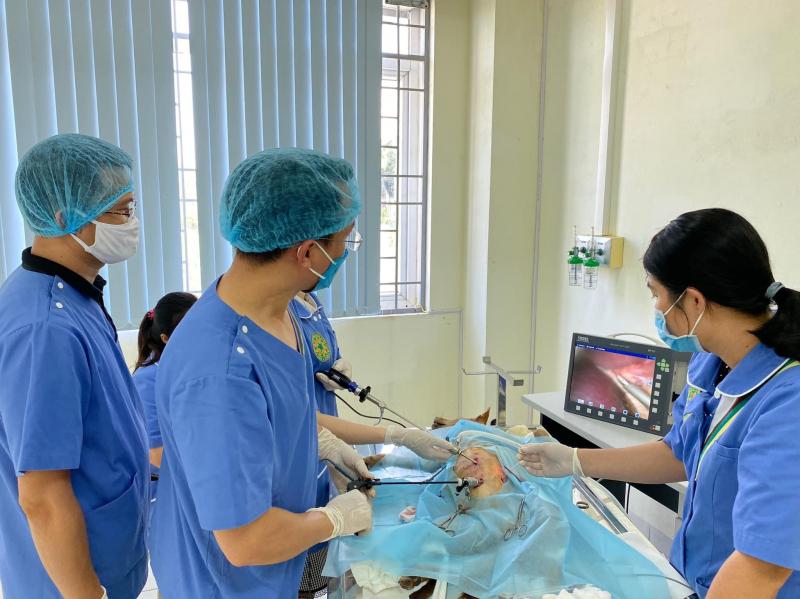 VetHospital - Bệnh viện Thú Y - Học viện Nông nghiệp Việt Nam