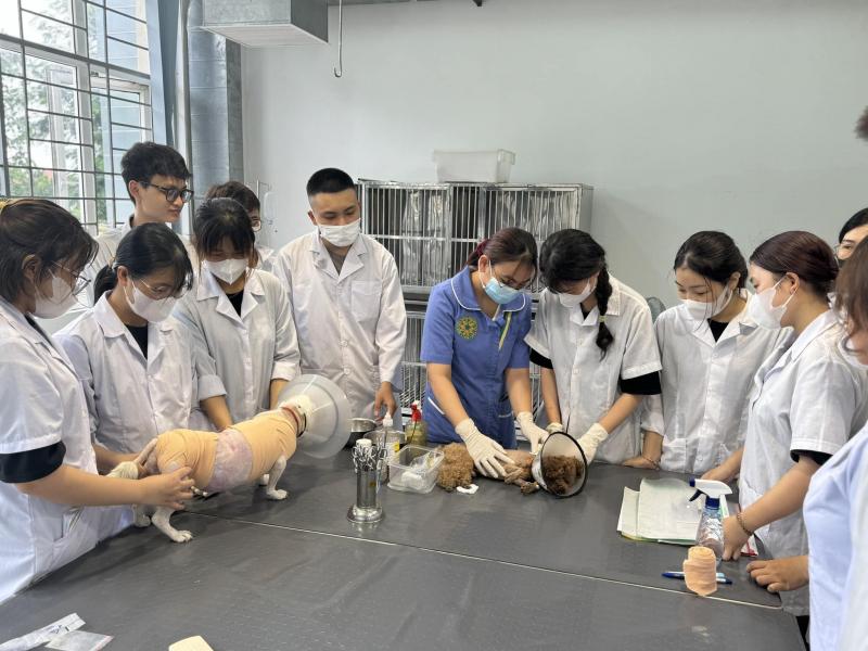 VetHospital - Bệnh viện Thú Y - Học viện Nông nghiệp Việt Nam