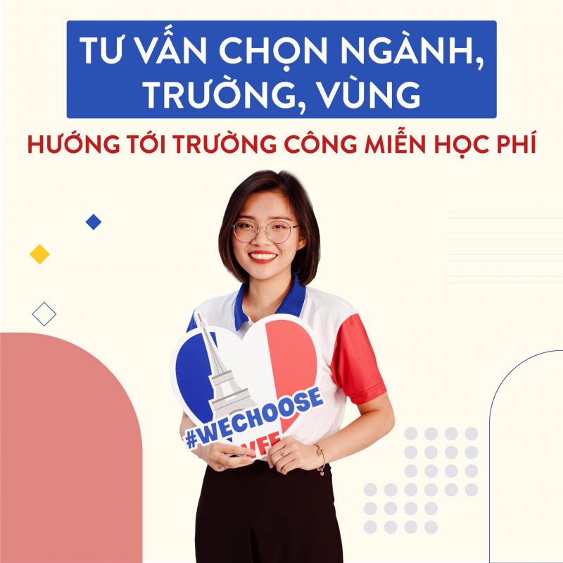 VFE - Vietnam France Exchange