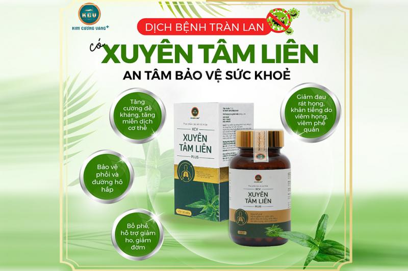 Viên uống bổ phổi Xuyên Tâm Liên Kim Cương Vàng