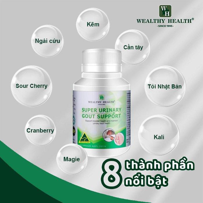 Viên Uống Hỗ Trợ Điều Trị Gout Và Tiết Niệu Super Urinary Gout Support