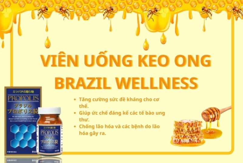 Viên uống keo ong Brazil Wellness 500 viên