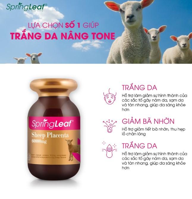 Viên uống nhau thai cừu Spring Leaf Sheep Placenta