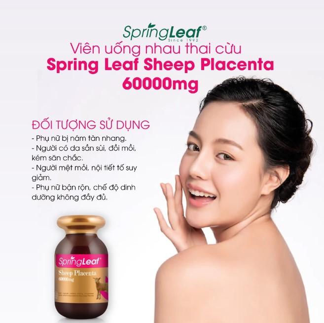 Viên uống nhau thai cừu Spring Leaf Sheep Placenta