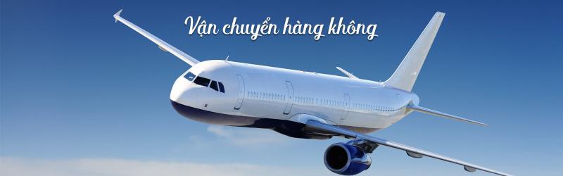 Công ty chuyên cung cấp dịch vụ vận chuyển quốc tế