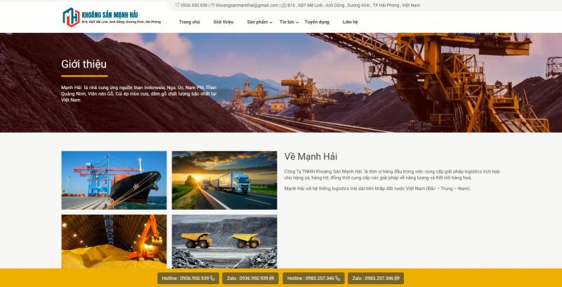 Website do thiết kế website VietAds Hải Phòng thực hiện