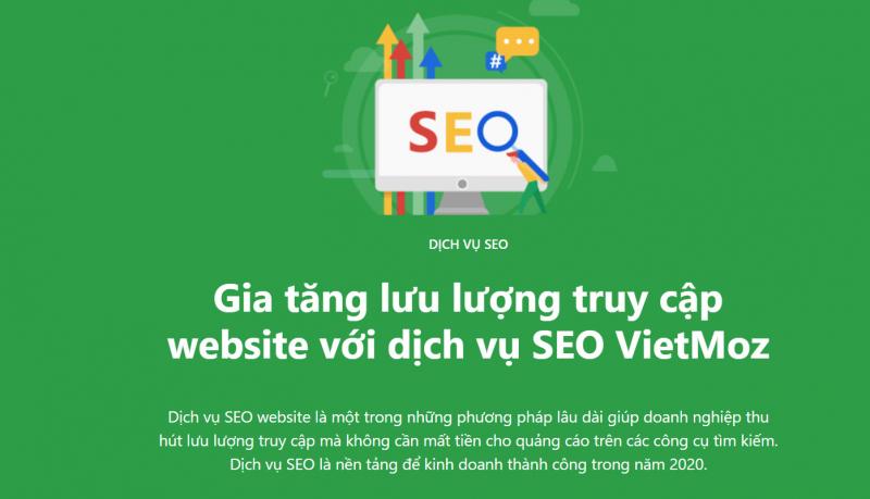 Dịch vụ Seo của VietMoz