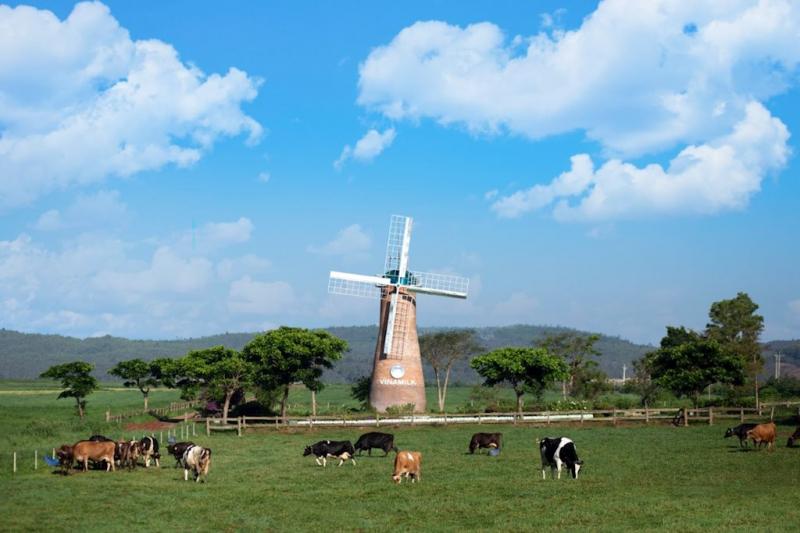 Vinamilk Organic Milk Farm