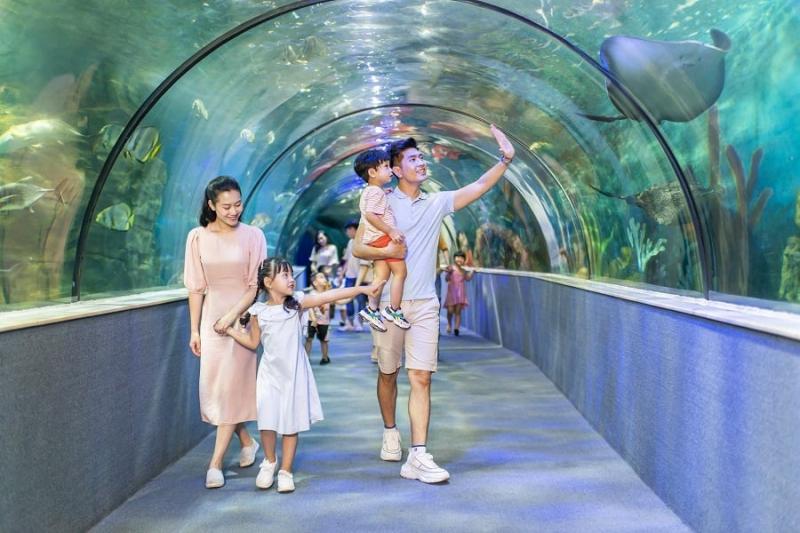 Vinpearl Aquarium Times City - thủy cung hiện đại nhất được xây dựng theo kiến trúc Singapore