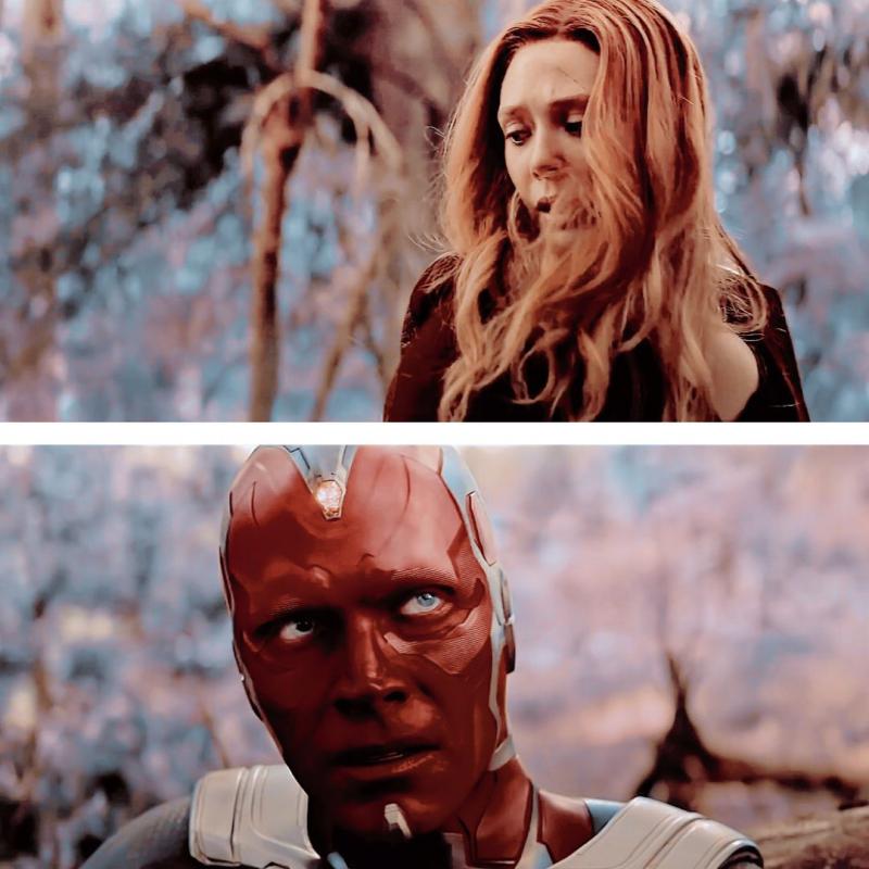 Vison & Scarlet Witch