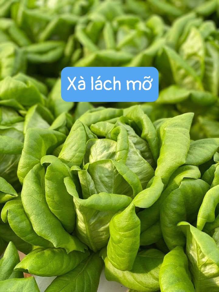 Vivu Mart - Thực phẩm sạch Đà Nẵng