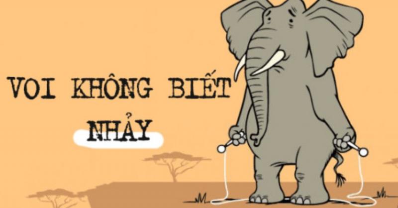 Voi là động vật hiếm hoi không thể nhảy