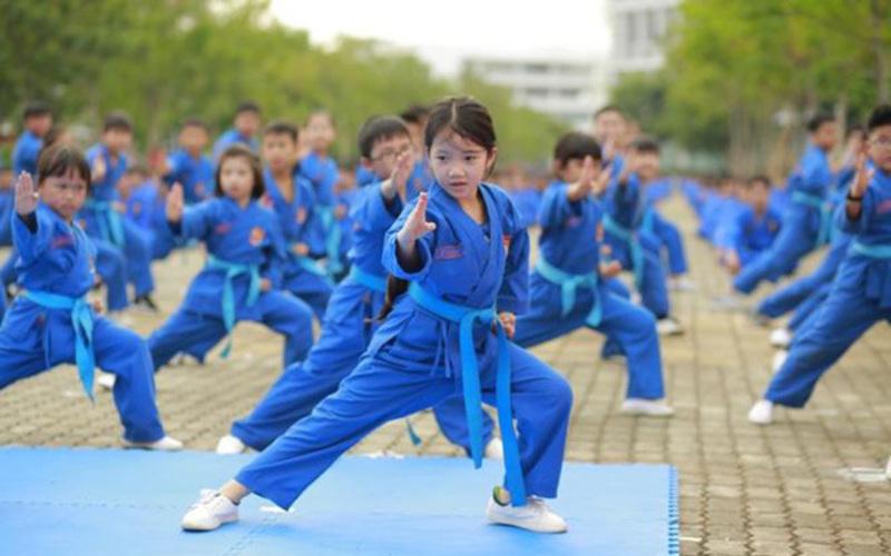 Vovinam – Việt Võ Đạo