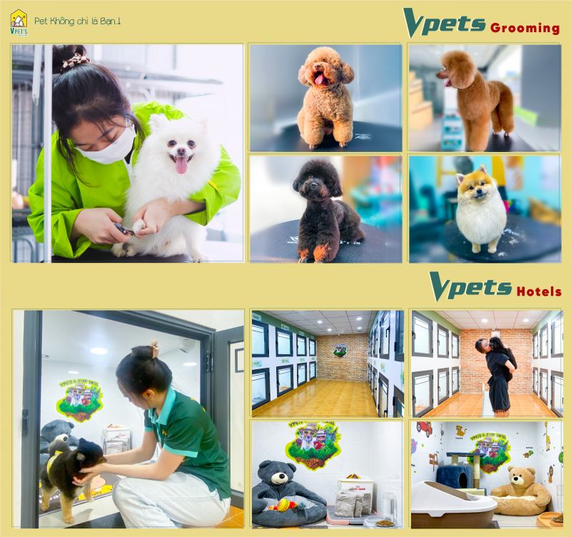 VPet's - Pet không chỉ là bạn