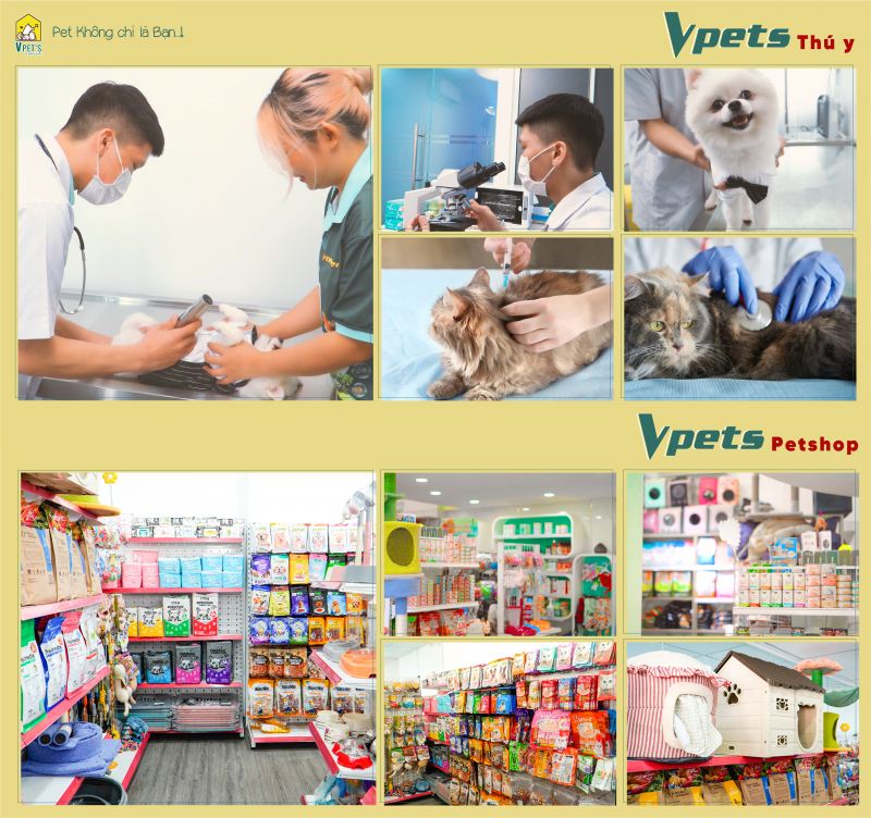 VPet's - Pet không chỉ là bạn