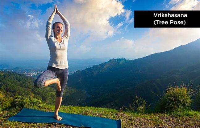 Tư thế yoga giúp tăng cường hệ miễn dịch trong mùa virus cúm
