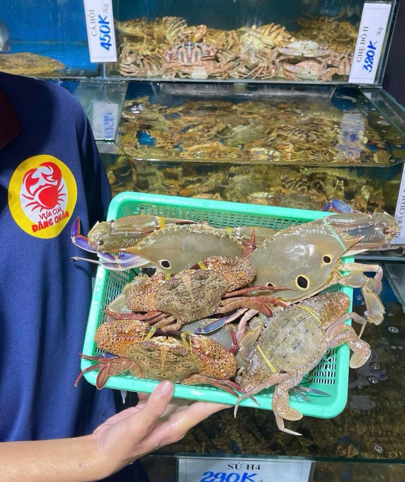 Vựa Cua Đăng Quân