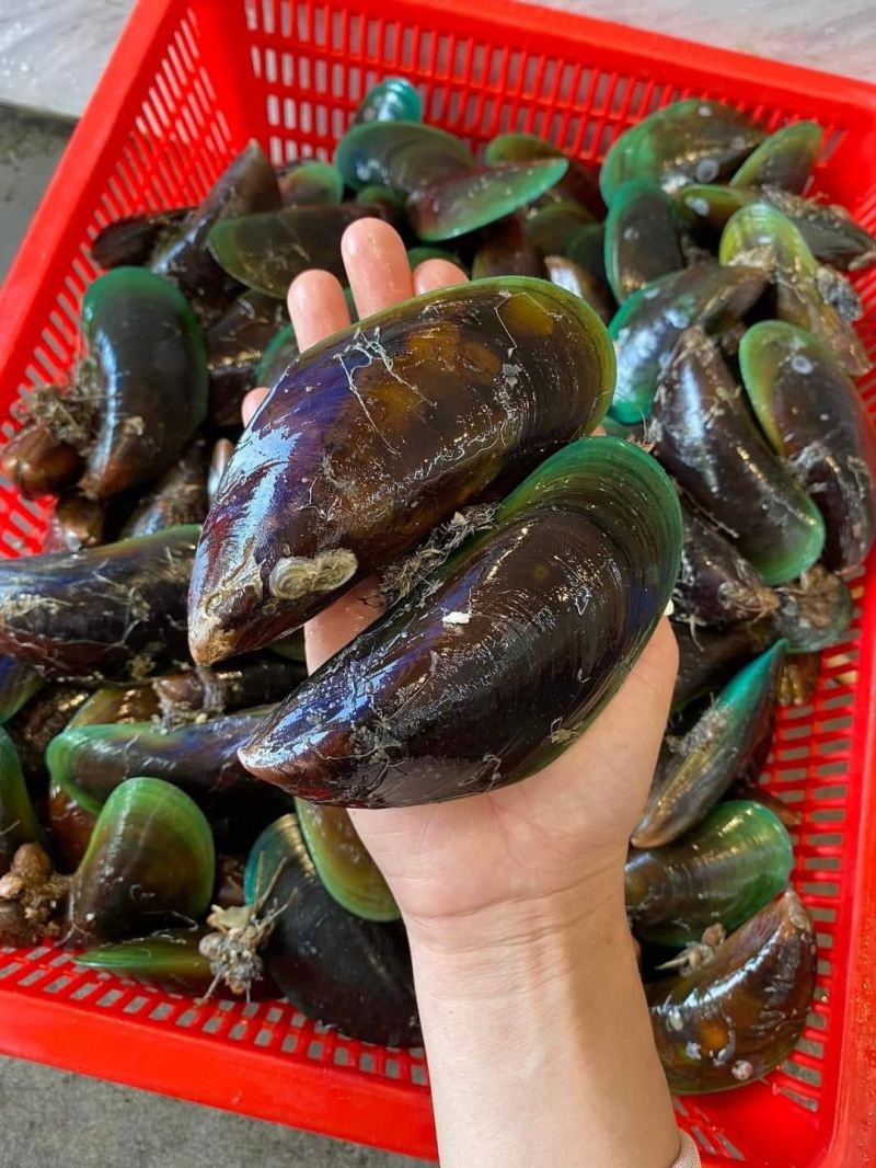 Vựa Cua Hải Sản - Toàn Thịnh Phát