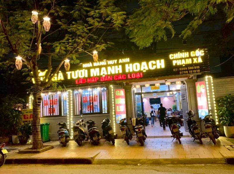 Chicken King Manh Hoach Huy Anh