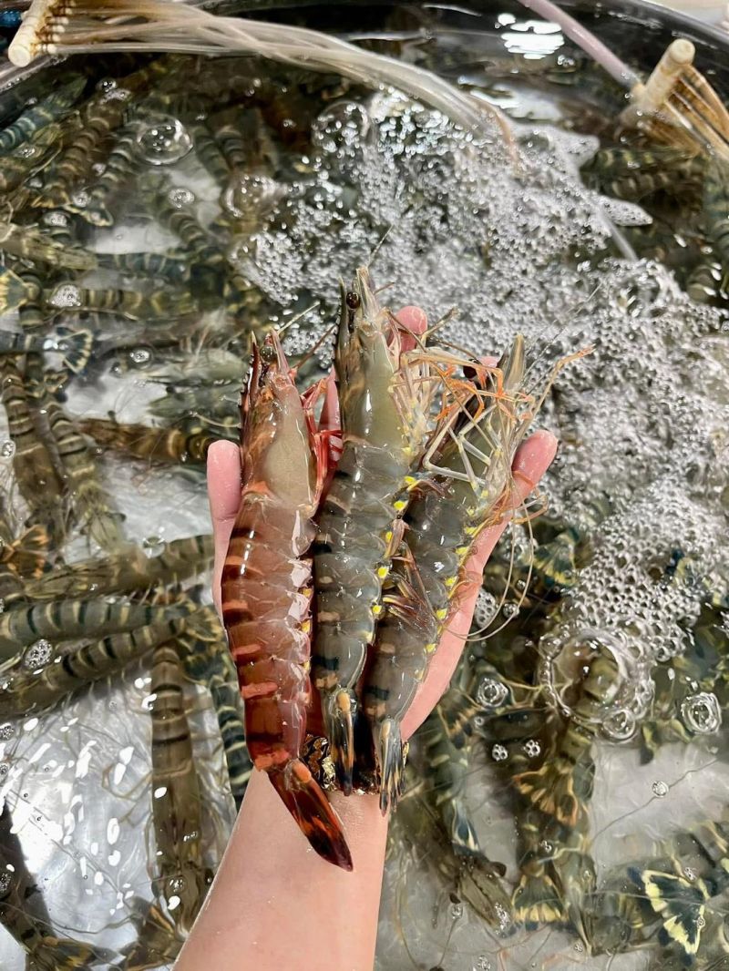 Vựa Hải Sản Cẩm Tiên