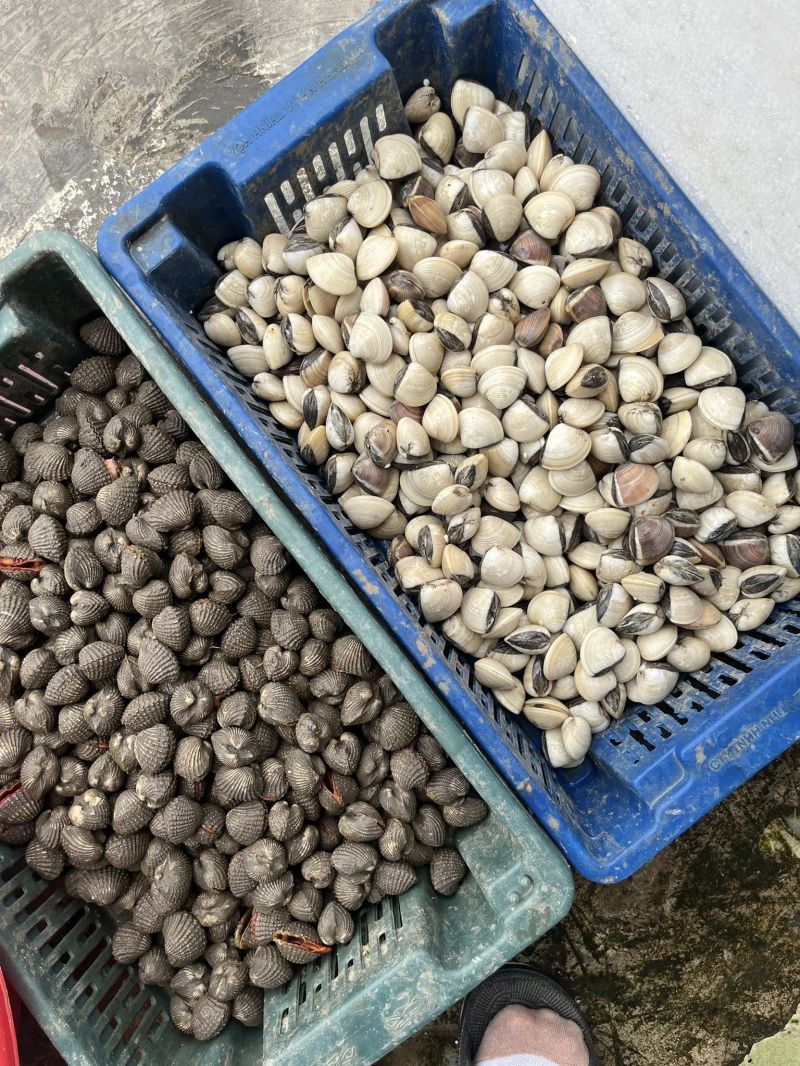 Vựa Hải Sản Cao Cấp 6 Mỹ