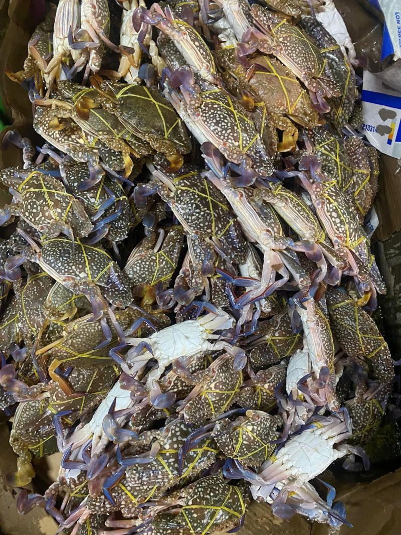 Vựa Hải Sản Cao Cấp 6 Mỹ