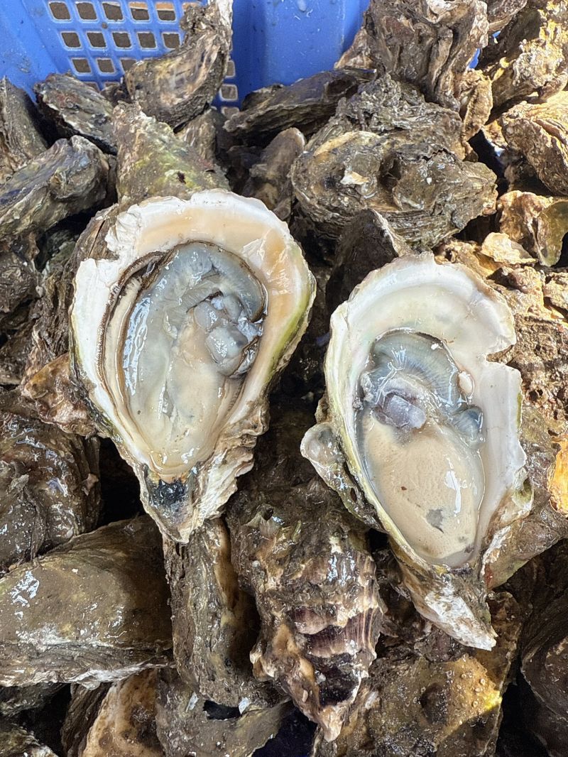 Vựa Hải Sản Hoàng Lộc