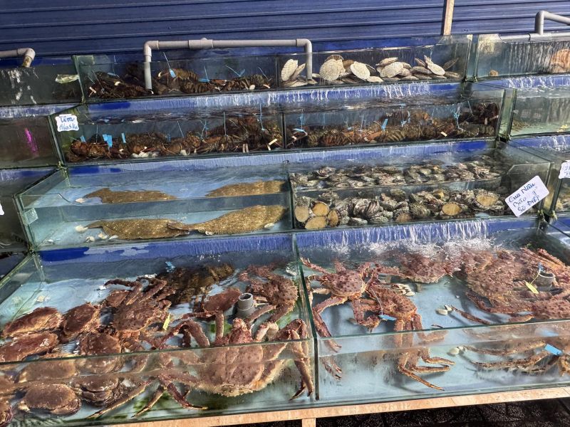 Vựa Hải Sản Hoàng Lộc