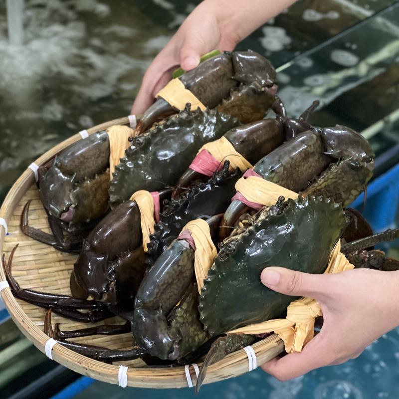 Vựa Hải Sản Lộc