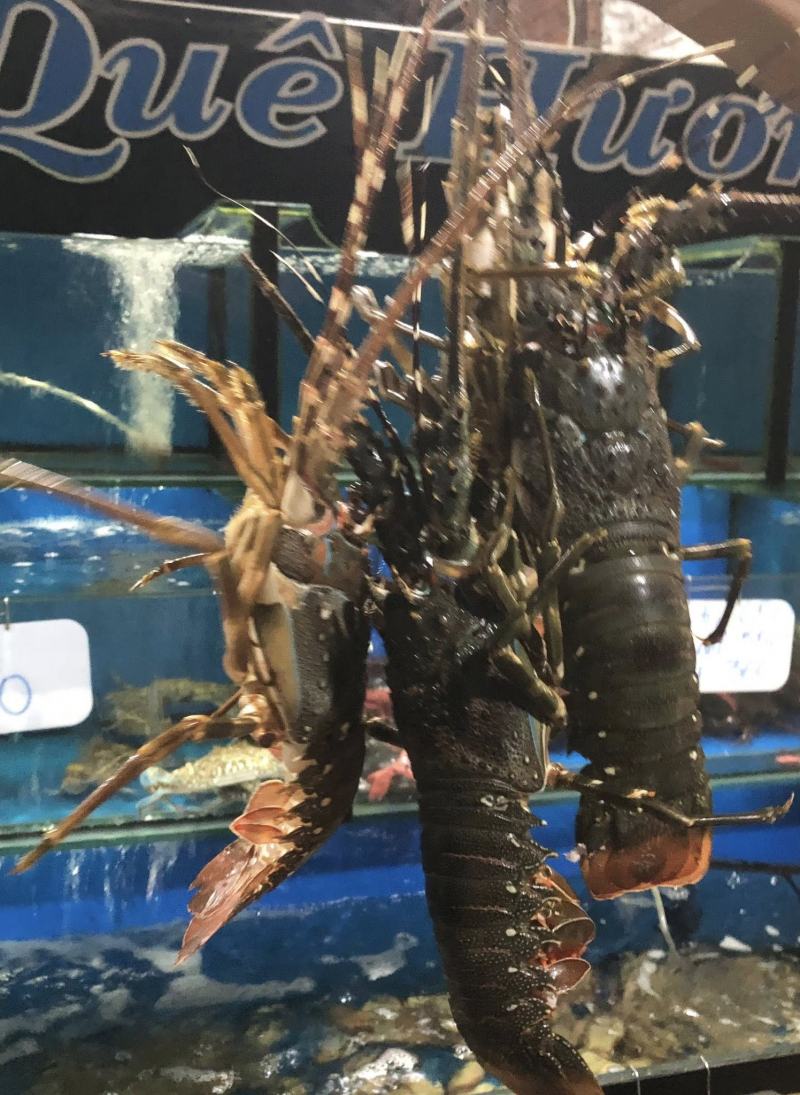 Vựa Hải Sản Quê Hương