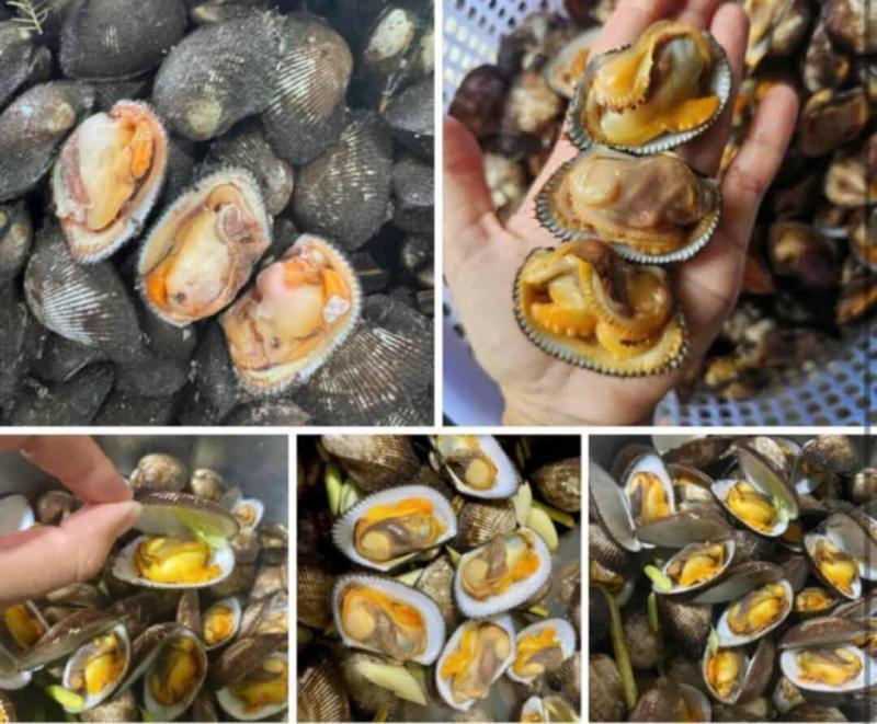 Vựa Hải Sản Quê Hương