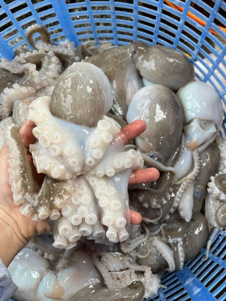 Vựa Hải Sản Thanh Cần Thơ