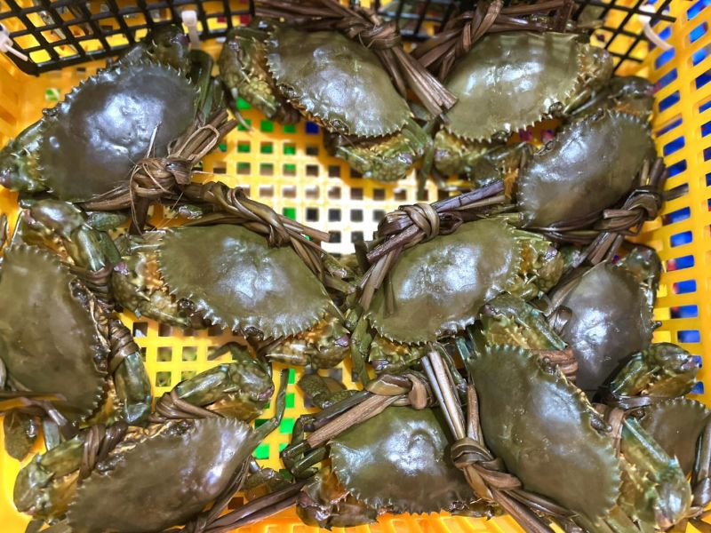 Vựa Hải Sản Thảo