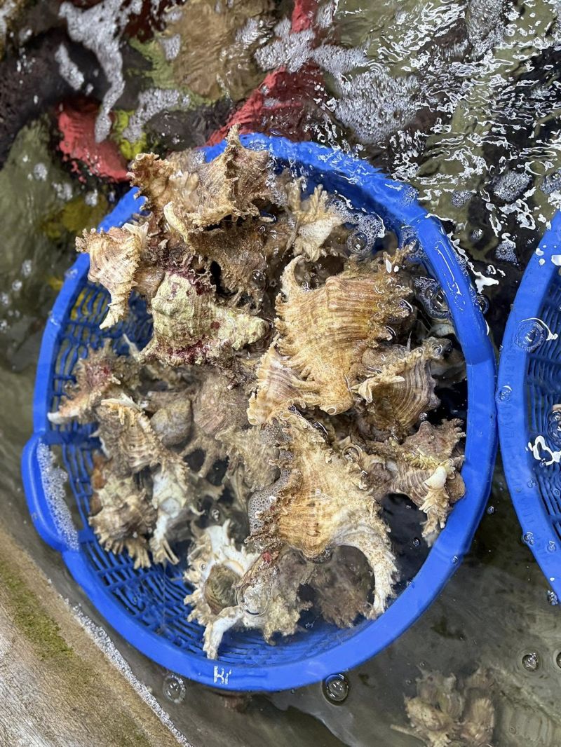 Vựa hải sản tươi sống Hoàng Duy